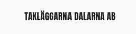 Takläggarna Dalarna AB logo