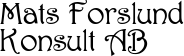 Logo – Mats Forslund Konsult AB