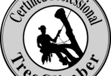 Certified Professional Treeclimber