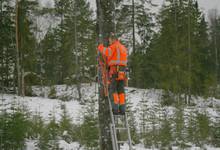 Bilder