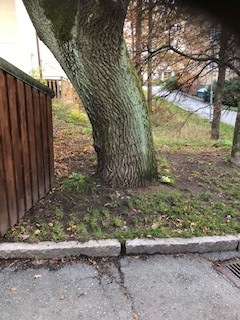Bild för uppdrag: Markarbete i Stockholm