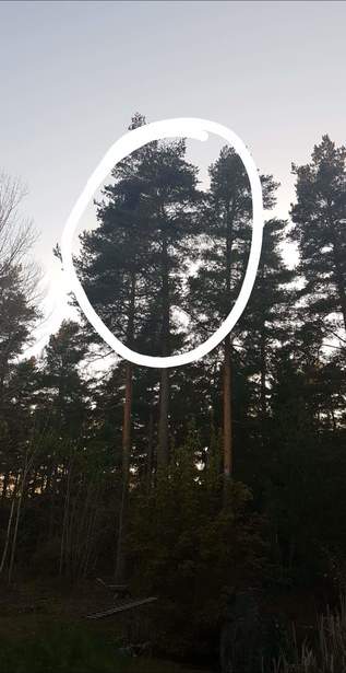 Bild för uppdrag: Hämta drönare i ett träd i Nynäshamn