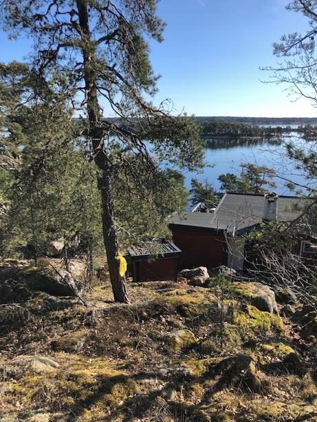 Bild för uppdrag: Fälla 4-5 st träd i Värmdö