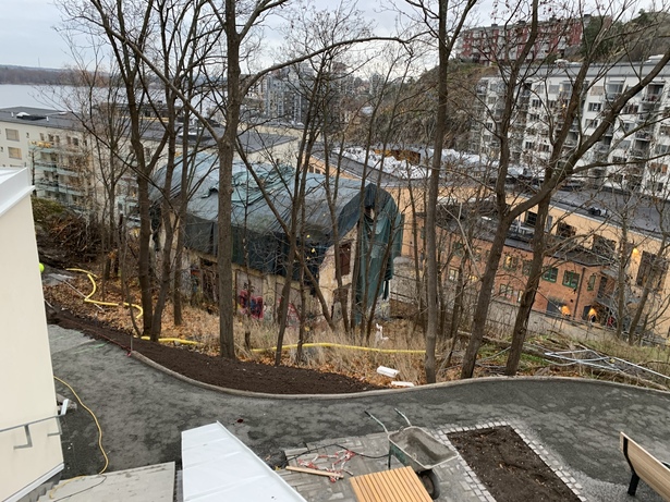 Bild för uppdrag: Fälla ca 20 st träd i Nacka