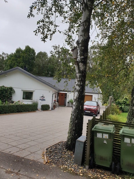 Bild för uppdrag: Fälla 1 st träd i Falkenberg