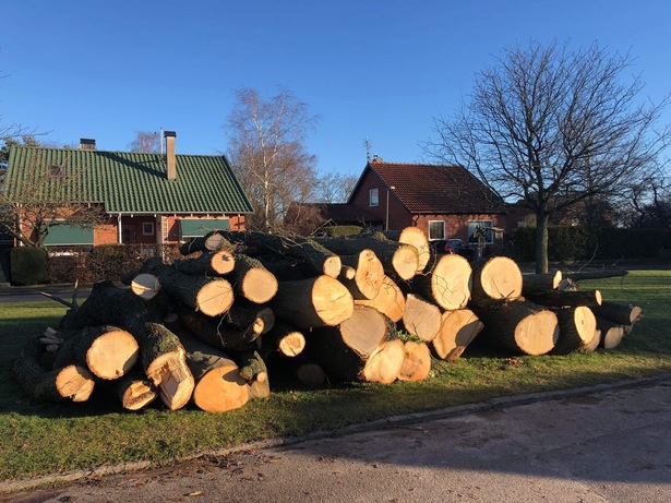 Bild för uppdrag: Såga upp ca 10 stockar av ek och bok till plank i Kävlinge