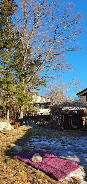 Heldags hamling i Enköping
