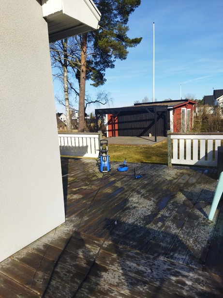Bild för uppdrag: Fälla en tall i Jönköping